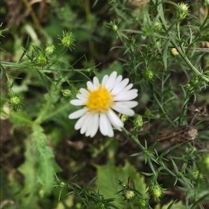 Meet your Posher, Amie